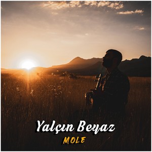 Mole