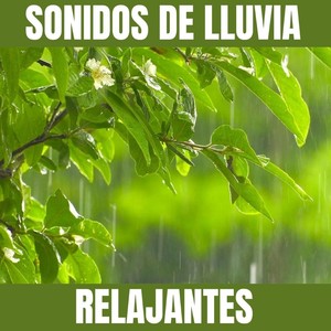 Sonidos De Lluvia Relajantes