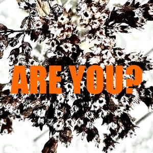 ARE YOU?