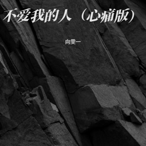 不爱我的人 (心痛版)