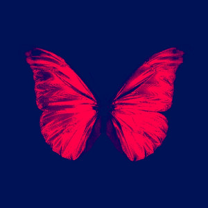 Morpho Brisé (relation d'un soir) [Explicit]