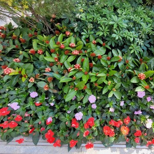 像永远阔步向前方