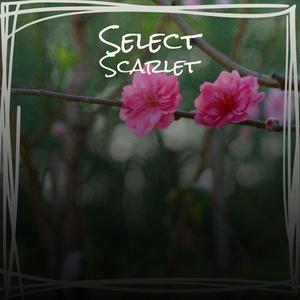 Select Scarlet