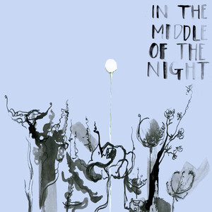 In the Middle of the Night