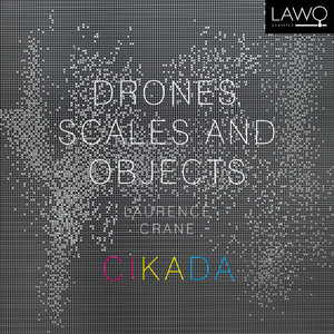 Drones, Scales and Objects