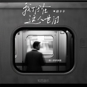我们在这人世间