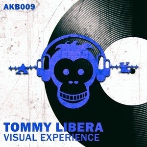 Visual Experience (Original Mix)