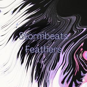 Feathers (Extended Mix)