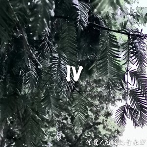 牛仔