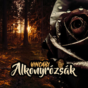 Alkonyrózsák