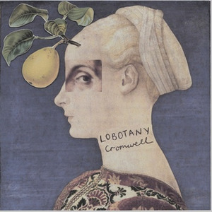 Lobotany