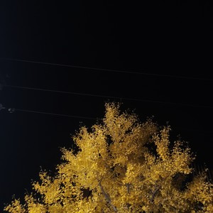 我在半夜醒来 (Demo)