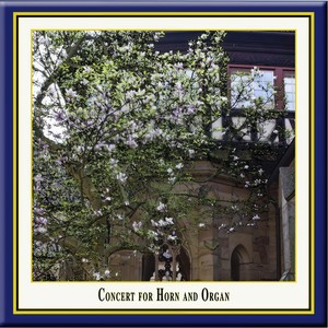 Morceau de concert, Op. 94 (arr. for horn and organ) - II. Adagio