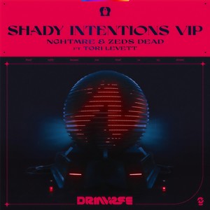 Shady Intentions (VIP)