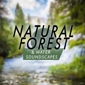 Natural Forest and Water Soundscapes