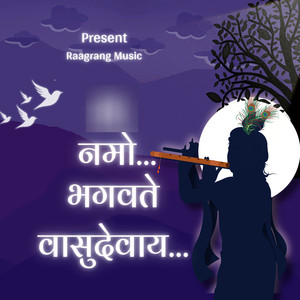 Om Namo Bhagavate Vasudevay