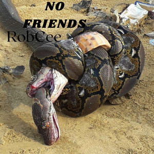 No Friends (Explicit)