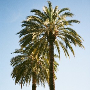 Exactly Where I Need To Be