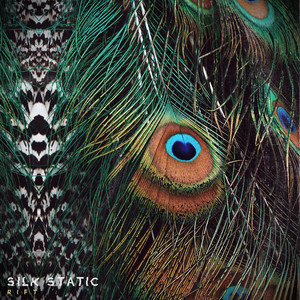Silk Static - Rift