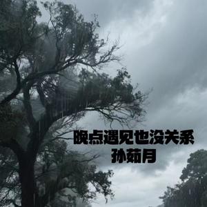 晚点遇见也没关系