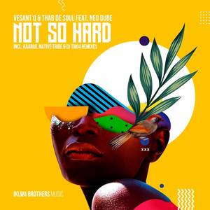Not So Hard (Native Tribe & DJ Two4 Afro Rampage)