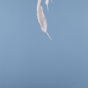 조연 (a supporting role) (配角)