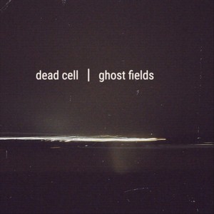 Ghost Fields