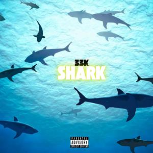 Shark (Explicit)