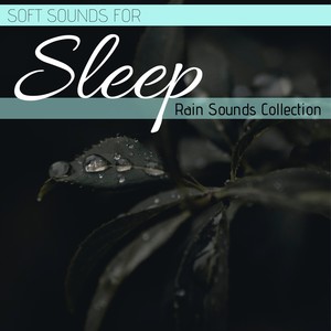 Soft Sounds for Sleep: Rain Sounds Collection