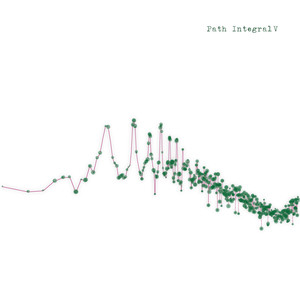 Path Integral V