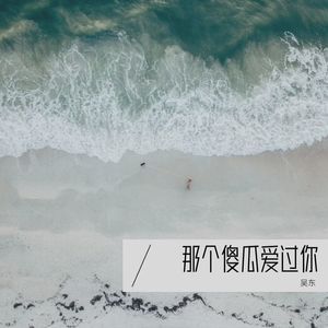 那个傻瓜爱过你