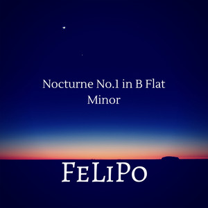 Nocturnes, Op. 9 - I. Larghetto in B-Flat Minor (夜曲，Op. 9)