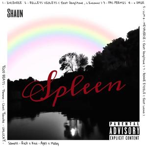 Spleen (Explicit)