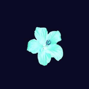 WOULD YOU? (Explicit)