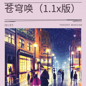 DJ七先生 - 苍穹唤 (1.1x版)