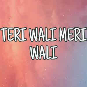 Teri wali meri wali