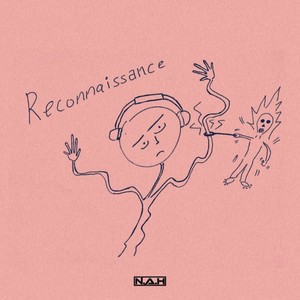 Reconnaissance
