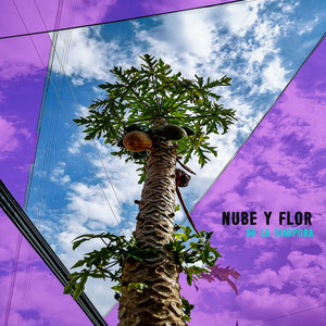 Nube y Flor