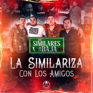 La Similariza con los Amigos