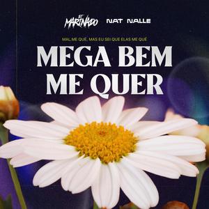 MEGA BEM ME QUER (Explicit)