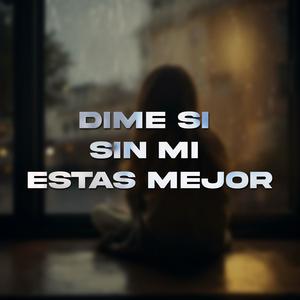 Dime si sin mi estas mejor