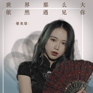 世界那么大依然遇见你