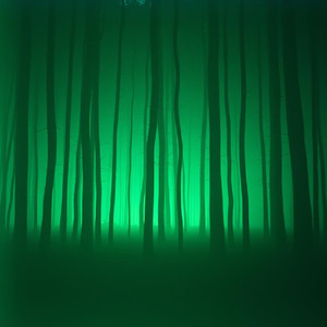 The Truth in Every Note