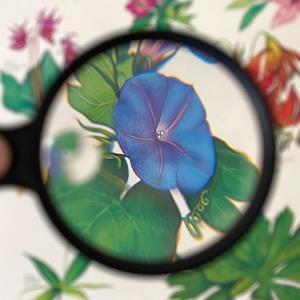 Forget About It(1000 Ways)