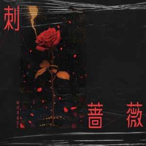 刺蔷薇 (伴奏)