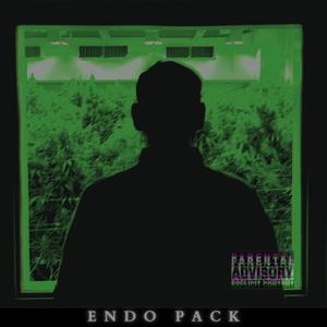 Endo Pack (Explicit)