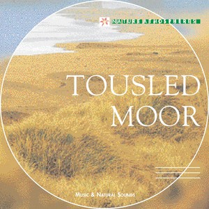 Nature Atmosphere: Tousled Moor (Celtic Dreams)