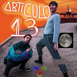 Artículo 13