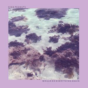 Would do Everything Again