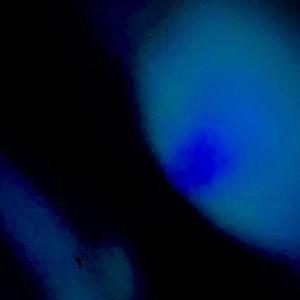 screed (feat. 2way.jude) (Explicit)